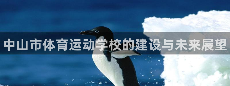 vsport体育官网下载平台假的吗是真的吗:中山市体育运动学